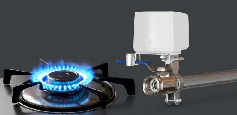 Gas Valves Application